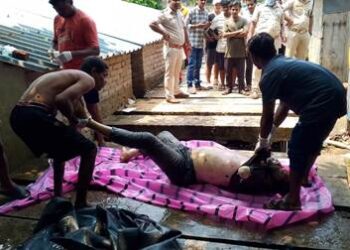 ଡ୍ରେନରେ ଭାସୁଥିଲା ଅଜଣା ଯୁବକର ମୃତ୍ୟୁଦେହ