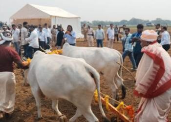 ପ୍ରଥମ ଥର ପାଇଁ କଟକର ଧାନ ଗବେଷଣା କେନ୍ଦ୍ରରେ ଧାନ ବୁଣିଲେ ମୁଖ୍ୟମନ୍ତ୍ରୀ