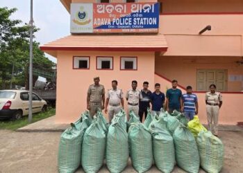 ଗଞ୍ଜେଇର ଚରାଭୂଇଁ ପାଲଟିଛି ଗଜପତି, ୪ମାସରେ ଜବତ ହେଲାଣି ୧୬ ଟନ୍, ଦମନ କରିବାକୁ ଅଣ୍ଟା ଭିଡ଼ିଛି ପୁଲିସ