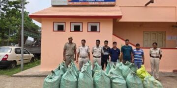 ଗଞ୍ଜେଇର ଚରାଭୂଇଁ ପାଲଟିଛି ଗଜପତି, ୪ମାସରେ ଜବତ ହେଲାଣି ୧୬ ଟନ୍, ଦମନ କରିବାକୁ ଅଣ୍ଟା ଭିଡ଼ିଛି ପୁଲିସ