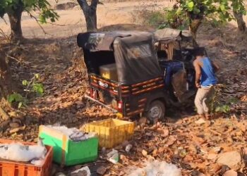 ଭାରସାମ୍ୟ ହରାଇ ଓଲଟିଲା ମାଛ ବୋଝେଇ ଅଟୋ