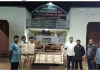 ପୋଲିସ ପାଟ୍ରୋଲିଂ ବେଳେ କାଠ ପଟା ବୋଝେଇ ମିନି ଟ୍ରକ ଜବତ : ୩ ଜଣ ଗିରଫ