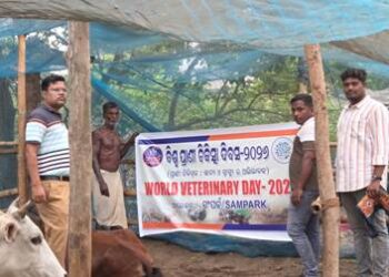 ବିଶ୍ୱ ପ୍ରାଣୀ ଚିକିତ୍ସା ଦିବସରେ ସଂପର୍କ ପକ୍ଷରୁ ପ୍ରାଣୀପାଳକଙ୍କ ପାଇଁ ସଚେତନତା ଶିବିର