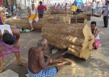 ରଥଖଳାରେ ପ୍ରଥମ ଦିନ ତୁମ୍ବ କଟା ଆରମ୍ଭ