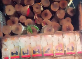 ରଥଖଳା ରେ ଘୁମୁସର ରୁ ୨୮ ଖଣ୍ଡ କାଠ ପହଁଚିଲା