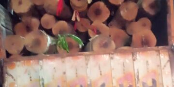 ରଥଖଳା ରେ ଘୁମୁସର ରୁ ୨୮ ଖଣ୍ଡ କାଠ ପହଁଚିଲା