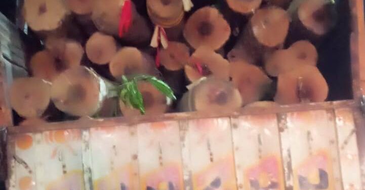 ରଥଖଳା ରେ ଘୁମୁସର ରୁ ୨୮ ଖଣ୍ଡ କାଠ ପହଁଚିଲା