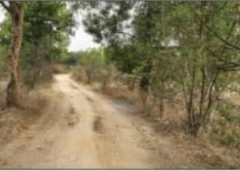 ବଲାଙ୍ଗୀର ଜିଲ୍ଲା ତୁରେକେଲା ବ୍ଲକ ବିକାଶ ପଥରେ ବ୍ୟାପକ ଦୁର୍ନୀତି ହୋଇଥିବା ନେଇ ସାଂଘାତିକ ଅଭିଯୋଗ