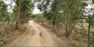 ବଲାଙ୍ଗୀର ଜିଲ୍ଲା ତୁରେକେଲା ବ୍ଲକ ବିକାଶ ପଥରେ ବ୍ୟାପକ ଦୁର୍ନୀତି ହୋଇଥିବା ନେଇ ସାଂଘାତିକ ଅଭିଯୋଗ