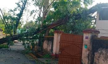 କାଳବୈଶାଖୀର କରାଳ ରୂପ : ପ୍ରବଳ ଝଡ଼ ତୋଫାନ ସହ ବର୍ଷା : ବିଦ୍ୟୁତ ସେବା ବିଛିନ୍ନ – ବ୍ୟାପକ କ୍ଷୟକ୍ଷତି