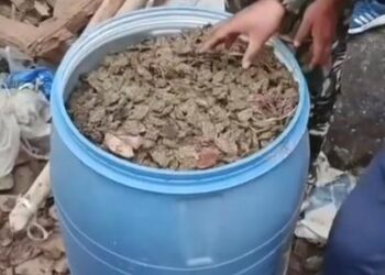 ସ୍ଲଗ – ଗଜପତି ଜିଲା ରେ ଗଂଜେଇ ବିହନ ଶୂନ୍ୟ