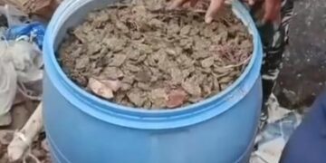 ସ୍ଲଗ – ଗଜପତି ଜିଲା ରେ ଗଂଜେଇ ବିହନ ଶୂନ୍ୟ