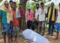 ଥମୁନି ଦାଦନ ଦୁଃଖ : ଶବ ହୋଇ ଫେରିଲେ ବରୁଣ