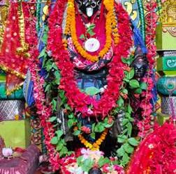 ବୀର ନରସିଂହପୁର ମା ଦକ୍ଷିଣକାଳୀ ଙ୍କ ପୂଜକ ଓ ପରମଭକ୍ତ ଗିରିଶ ଚନ୍ଦ୍ର ବାନାର୍ଜୀ