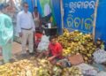 ପର୍ଯ୍ୟଟକ ଓ ବିଦେଶୀଙ୍କ ପସନ୍ଦ ତାଳସଜ