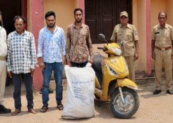 ଦାରିଙ୍ଗବାଡି ରୁ କର୍ଣ୍ଣାଟକ କୁ ଗଞ୍ଜେଇ ଚାଲାଣ : ସ୍କୁଟି ସହ ମୋବାଇଲ ଜବତ – ୩ ଗିରଫ