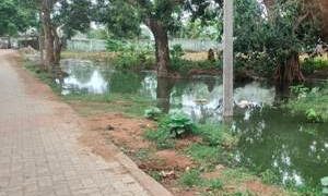 ଉପ କାରାଗାର ପରିସରରୁ ବାହାରୁଥିବା ଆବର୍ଜନା ପାଣି ଦୁର୍ଗନ୍ଧରେ ଗୁଳିମରାପଦା ବାସିନ୍ଦା ହନ୍ତସନ୍ତ