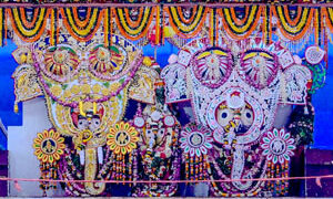 ଗଜାନନ ବେଶରେ ଦର୍ଶନଦେଲେ ଚତୁର୍ଦ୍ଧାମୂର୍ତ୍ତି ୪ଲକ୍ଷ ଭକ୍ତଙ୍କ ଦୁର୍ଲଭ ଦର୍ଶନ – ପୁରୀ