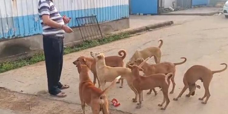 ପୁରୀ ରେଳ ଷ୍ଟେସନ ଅଞ୍ଚଳରେ ବୁଲା କୁକୁରଙ୍କୁ ଖାଦ୍ୟ ଦେଉଛନ୍ତି ଡଃ ଲାଲା ଅନନ୍ତ କୁମାର ସିଂହ