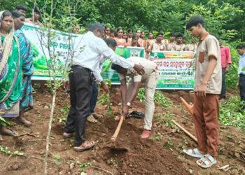 ବୁଡ଼ାଗୁଡା ଉଚ୍ଚ ବିଦ୍ୟାଳୟ ରେ ବନ ମହୋତ୍ସବ ପାଳନ