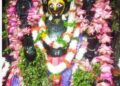 ଶ୍ରୀଅଲାରନାଥ ଙ୍କ ପୁନଃ ପ୍ରଚଳନ ହେଲା ବଡ ସିଂହାର ବେଶ