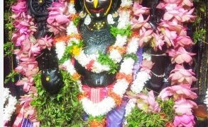 ଶ୍ରୀଅଲାରନାଥ ଙ୍କ ପୁନଃ ପ୍ରଚଳନ ହେଲା ବଡ ସିଂହାର ବେଶ