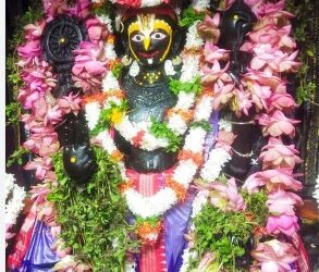 ଶ୍ରୀଅଲାରନାଥ ଙ୍କ ପୁନଃ ପ୍ରଚଳନ ହେଲା ବଡ ସିଂହାର ବେଶ