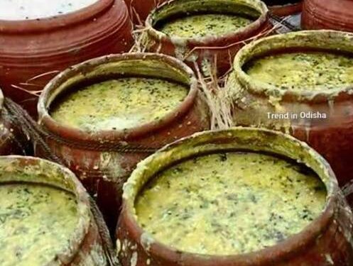 ନୀଳକନ୍ଦରରେ ନିଳାଦ୍ରିନାଥ ଭକ୍ତ ପାଇଲେ ନୀଳାଚଳ ଅବଢା