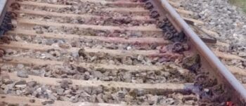ଟ୍ରେନ ଧକ୍କା ରେ ଗୋରୁ ଚରାଳି ସହିତ (୫) ଗୋରୁ ମୃତ
