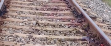 ଟ୍ରେନ ଧକ୍କା ରେ ଗୋରୁ ଚରାଳି ସହିତ (୫) ଗୋରୁ ମୃତ
