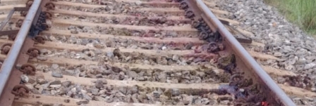 ଟ୍ରେନ ଧକ୍କା ରେ ଗୋରୁ ଚରାଳି ସହିତ (୫) ଗୋରୁ ମୃତ