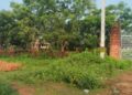 ଟାଙ୍ଗୀରେ ବିଭିନ୍ନ ବିକାଶ ମୂଳକ ସରକାରୀ ନିର୍ମାଣ କାର୍ଯ୍ୟ କରିବାକୁ କେବଳ ଜଙ୍ଗଲ ଓ ଗୋଚର ଜମି ଭରସା. ପରିବର୍ତ୍ତିତ ପରିସ୍ଥିତିରେ ଜଙ୍ଗଲ ଜମିରେ ନିର୍ମାଣ କାମ ଆଇନ ଦୃଷ୍ଟିରୁ କଷ୍ଟକର ହୋଇପଡିଛି