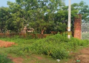 ଟାଙ୍ଗୀରେ ବିଭିନ୍ନ ବିକାଶ ମୂଳକ ସରକାରୀ ନିର୍ମାଣ କାର୍ଯ୍ୟ କରିବାକୁ କେବଳ ଜଙ୍ଗଲ ଓ ଗୋଚର ଜମି ଭରସା. ପରିବର୍ତ୍ତିତ ପରିସ୍ଥିତିରେ ଜଙ୍ଗଲ ଜମିରେ ନିର୍ମାଣ କାମ ଆଇନ ଦୃଷ୍ଟିରୁ କଷ୍ଟକର ହୋଇପଡିଛି