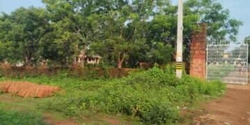 ଟାଙ୍ଗୀରେ ବିଭିନ୍ନ ବିକାଶ ମୂଳକ ସରକାରୀ ନିର୍ମାଣ କାର୍ଯ୍ୟ କରିବାକୁ କେବଳ ଜଙ୍ଗଲ ଓ ଗୋଚର ଜମି ଭରସା. ପରିବର୍ତ୍ତିତ ପରିସ୍ଥିତିରେ ଜଙ୍ଗଲ ଜମିରେ ନିର୍ମାଣ କାମ ଆଇନ ଦୃଷ୍ଟିରୁ କଷ୍ଟକର ହୋଇପଡିଛି