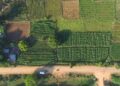 Vedanta Aluminium’s Project Sangam Strengthens Irrigation Access in Rural Kalahandi