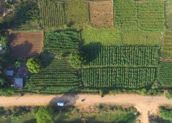 Vedanta Aluminium’s Project Sangam Strengthens Irrigation Access in Rural Kalahandi