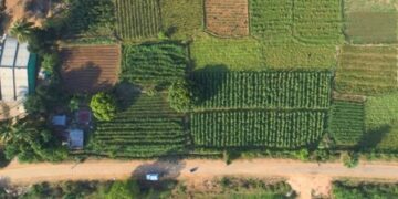 Vedanta Aluminium’s Project Sangam Strengthens Irrigation Access in Rural Kalahandi