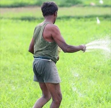 Odisha named among India’s most pronounced drought hotspots as extremes spread along the eastern coast: 52-year study
