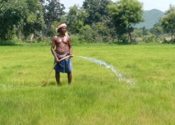 Odisha named among India’s most pronounced drought hotspots as extremes spread along the eastern coast: 52-year study