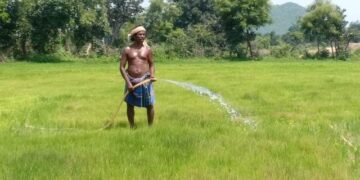 Odisha named among India’s most pronounced drought hotspots as extremes spread along the eastern coast: 52-year study