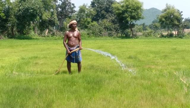 Odisha named among India’s most pronounced drought hotspots as extremes spread along the eastern coast: 52-year study