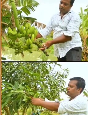 ଉଦ୍ୟାନ କୃଷି ରେ ଅଭିମନ୍ୟୁ ସୃଷ୍ଟି କରିଛନ୍ତି ନୂଆ ପରିଚୟ
